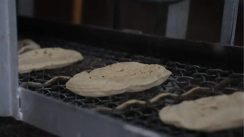 Tortilla